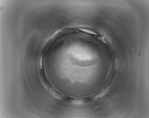 X0000087400358200705042041