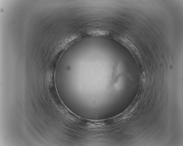 X0000087400359200705042041