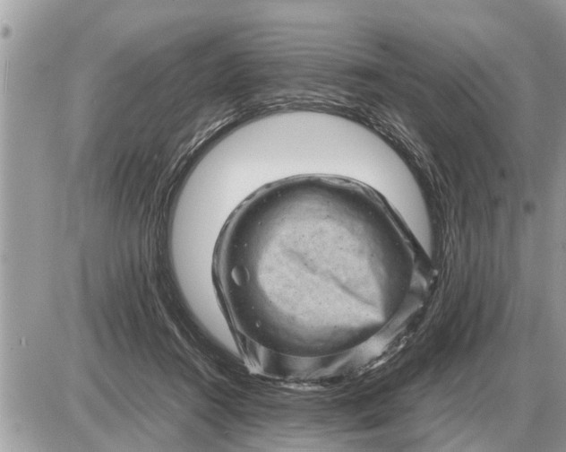 X0000087400360200705042041