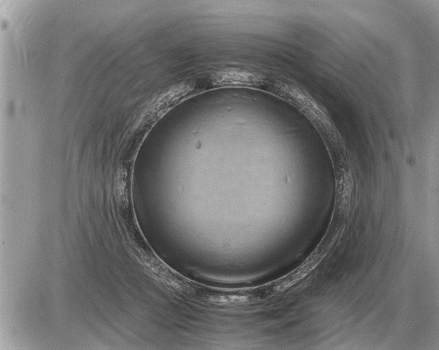 X0000087400361200705042041