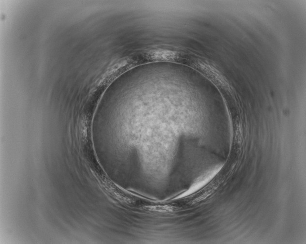 X0000087400363200705042041