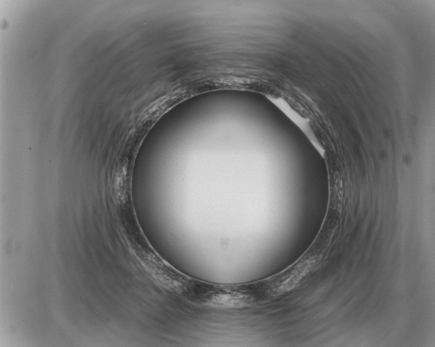 X0000087400364200705042041