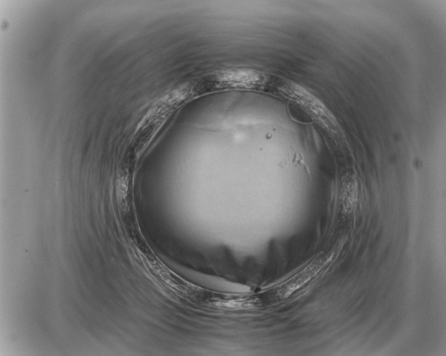 X0000087400365200705042041