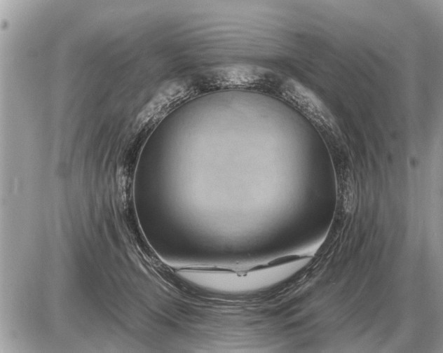 X0000087400366200705042041