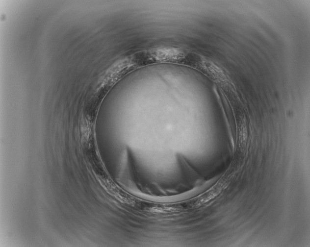 X0000087400367200705042041