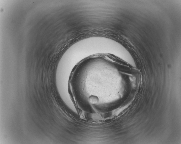 X0000087400368200705042041