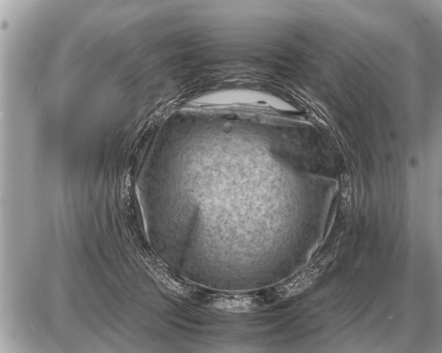 X0000087400369200705042041