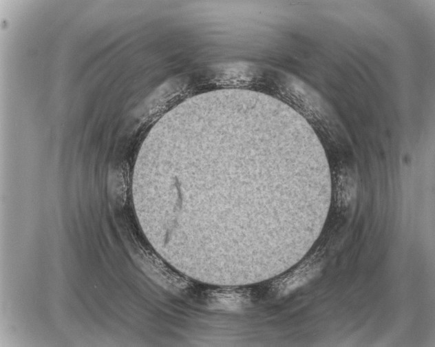 X0000087400370200705042041