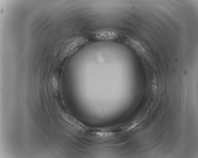 X0000087400371200705042041