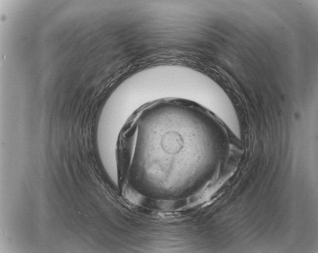 X0000087400372200705042041