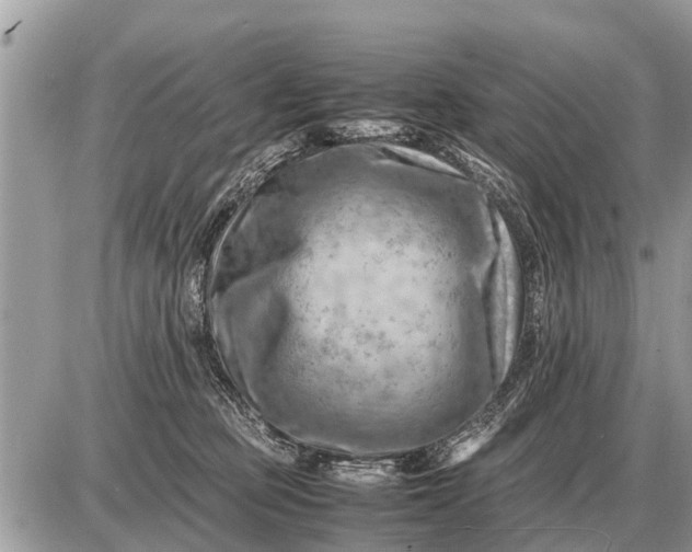 X0000087400373200705042041