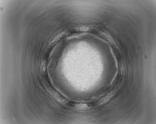 X0000087400374200705042041