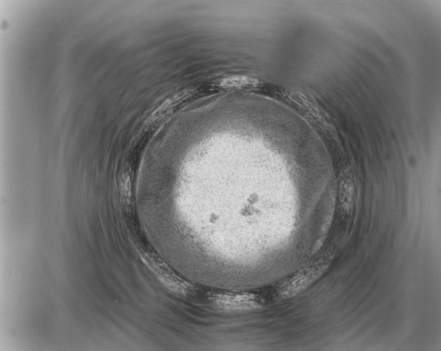 X0000087400375200705042041