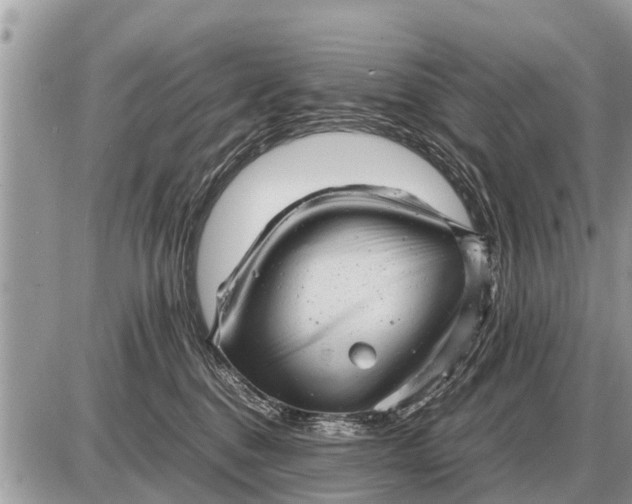 X0000087400376200705042041