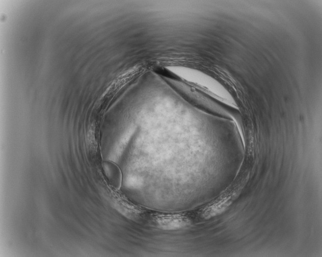 X0000087400377200705042041