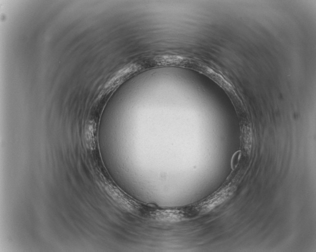 X0000087400378200705042041