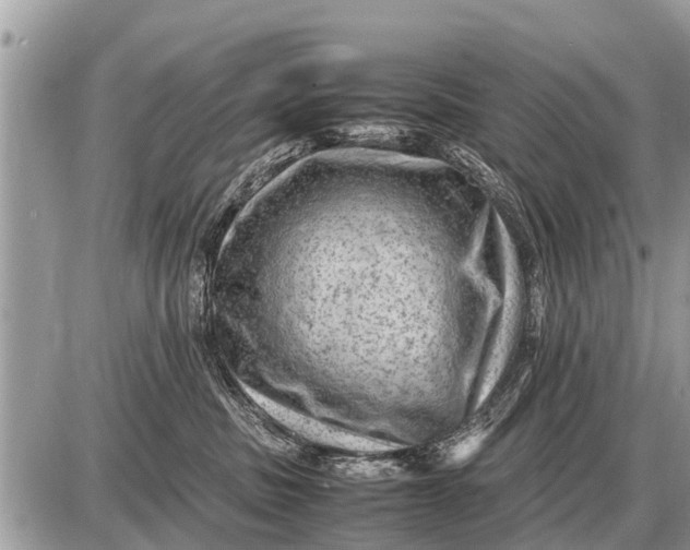 X0000087400379200705042041