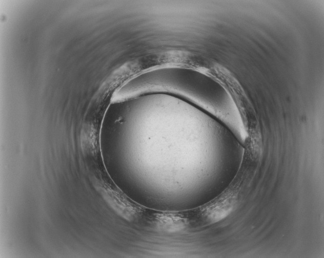 X0000087400380200705042041