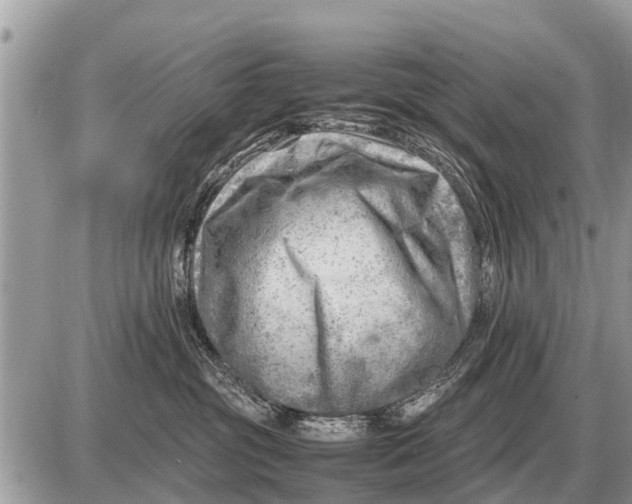 X0000087400381200705042041