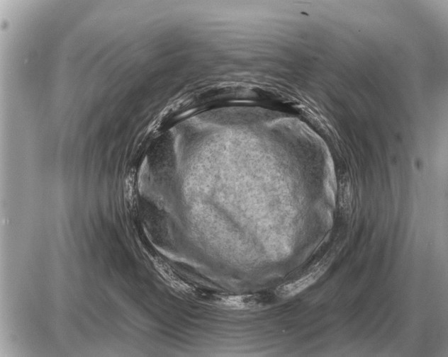 X0000087400382200705042041