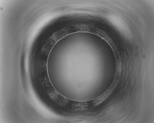 X0000087400383200705042041