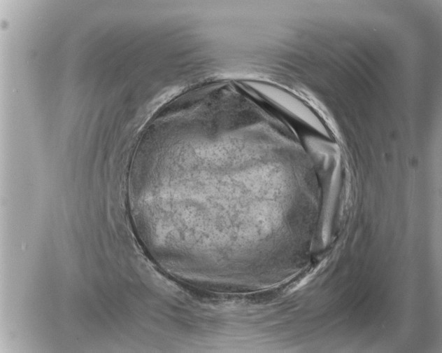 X0000087400385200705042041