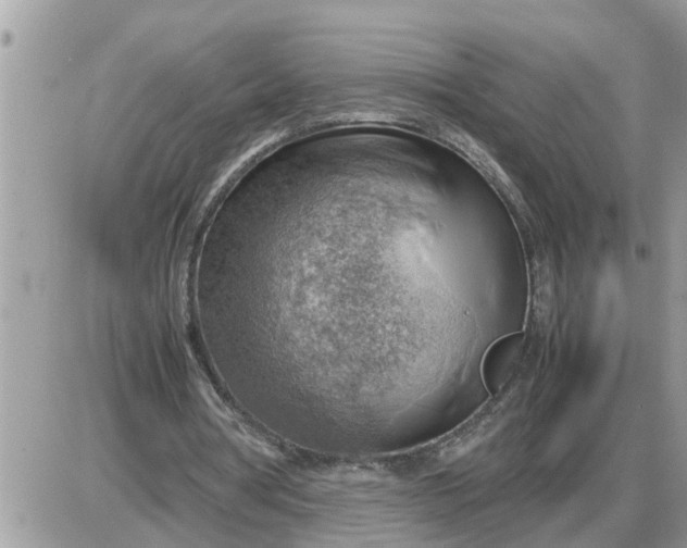 X0000087400386200705042041