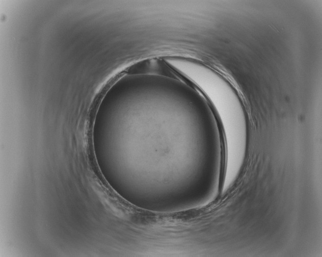 X0000087400387200705042041