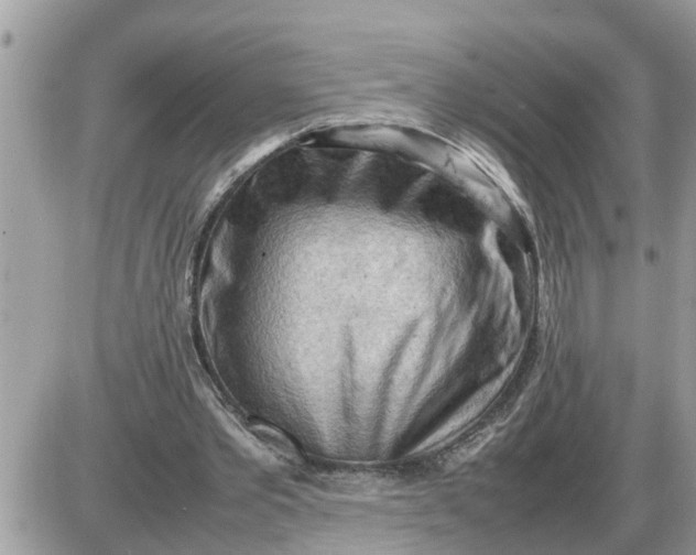 X0000087400389200705042041