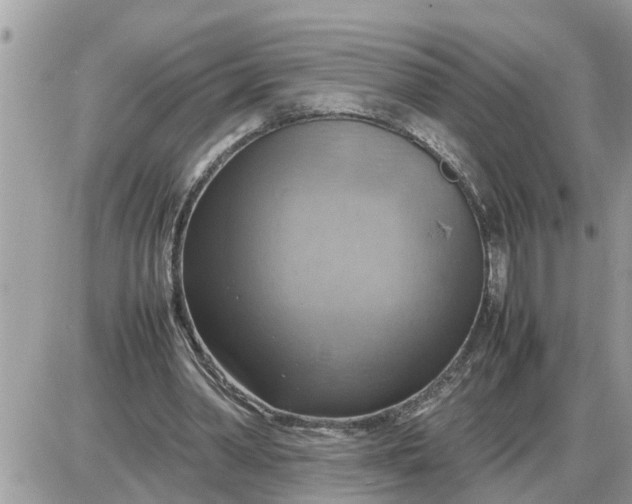 X0000087400390200705042041