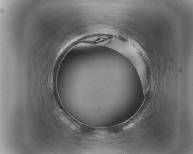 X0000087400391200705042041