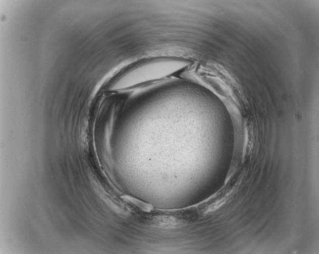 X0000087400392200705042041