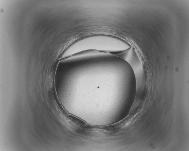 X0000087400393200705042041