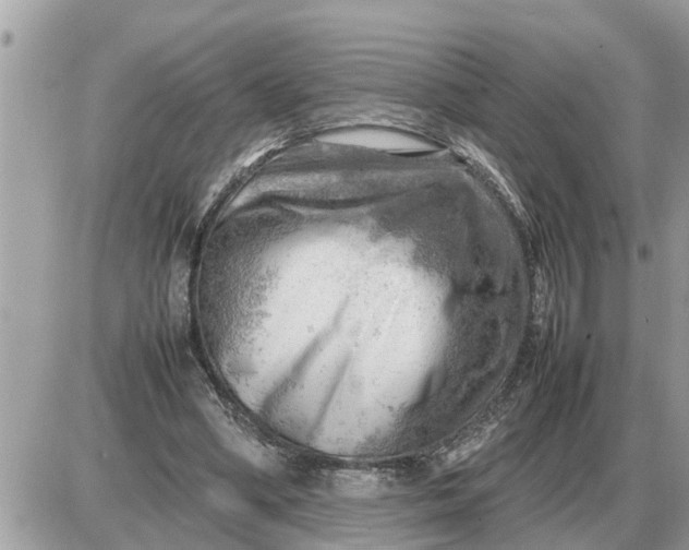 X0000087400394200705042041