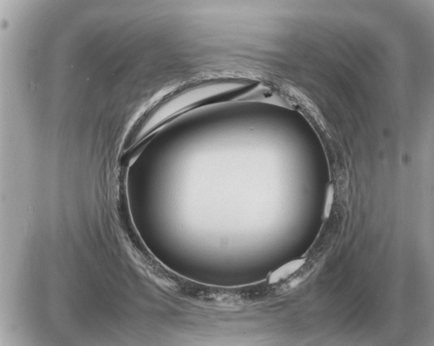 X0000087400395200705042041