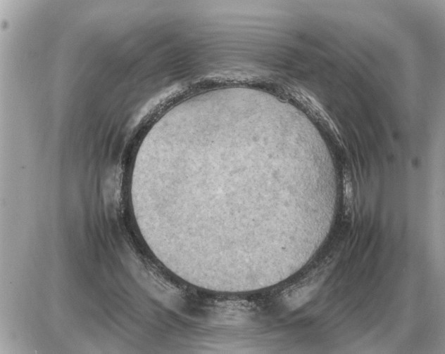 X0000087400396200705042041