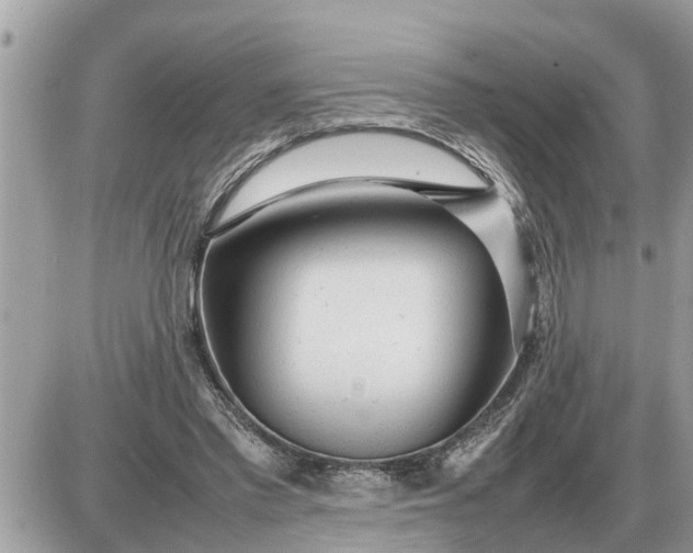 X0000087400397200705042040