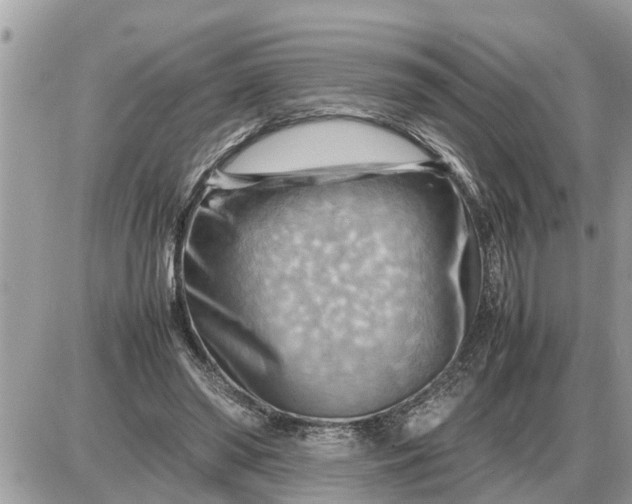 X0000087400398200705042040