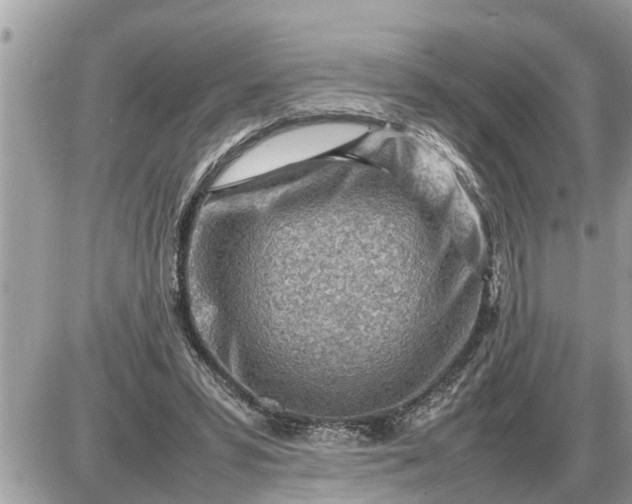 X0000087400399200705042040