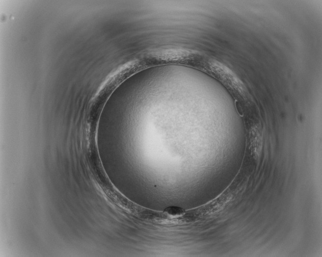 X0000087400400200705042040