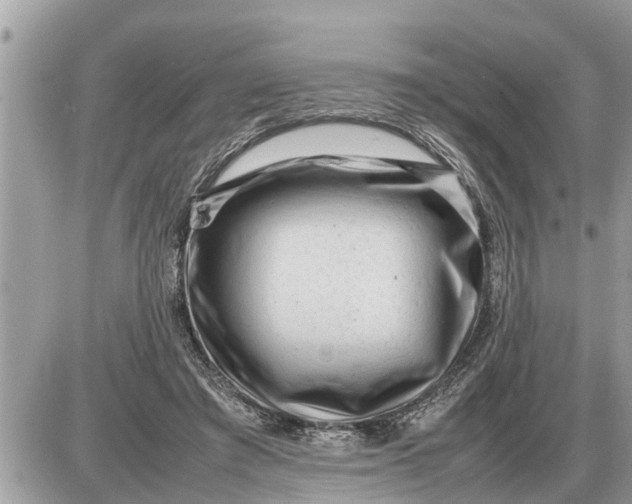 X0000087400401200705042040