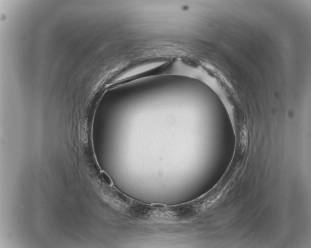 X0000087400403200705042040