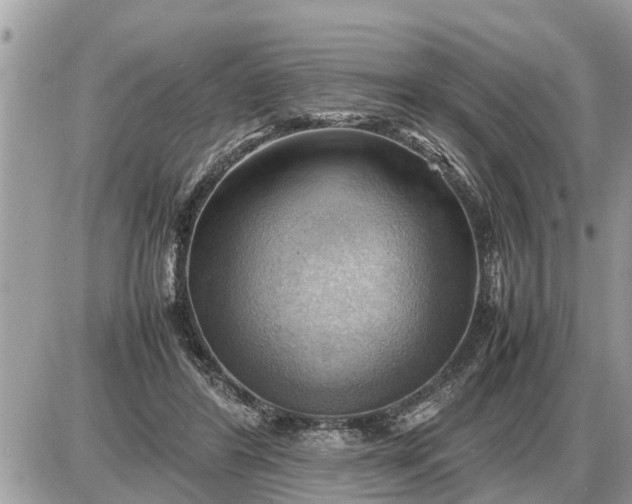 X0000087400404200705042040