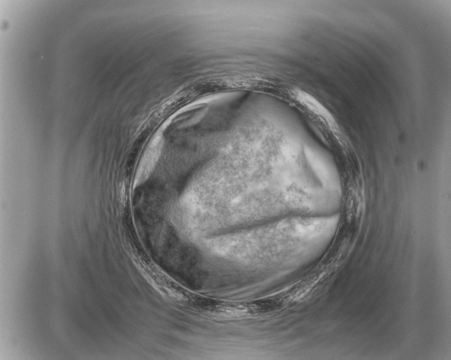 X0000087400405200705042040