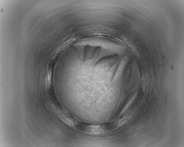 X0000087400406200705042040