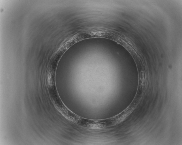 X0000087400408200705042040