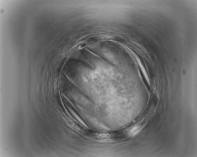 X0000087400409200705042040