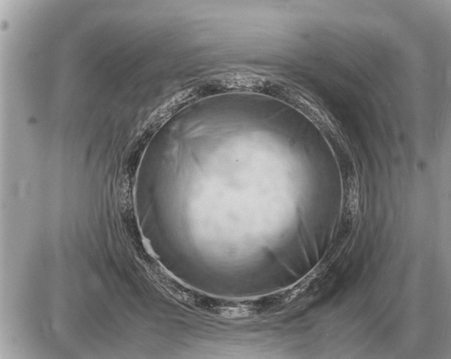 X0000087400411200705042040