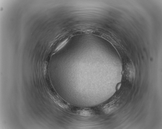 X0000087400412200705042040