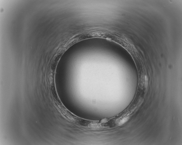 X0000087400413200705042040